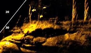 What is Forward-Facing Sonar, and How Does It Work?