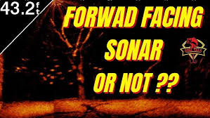 What Are the Pros and Cons of Using Forward-Facing Sonar?